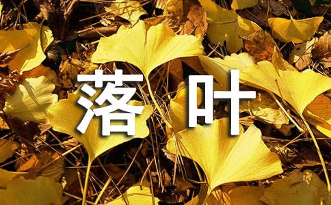 《正在落叶的树》教案