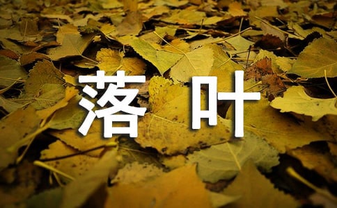 精选形容落叶的句子20条