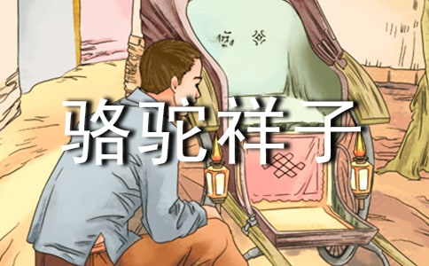 《骆驼祥子》阅读心得