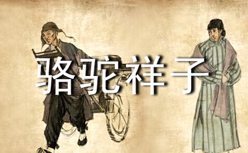 骆驼祥子个人读书笔记5篇