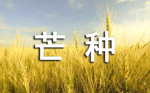 芒种节气养生原则