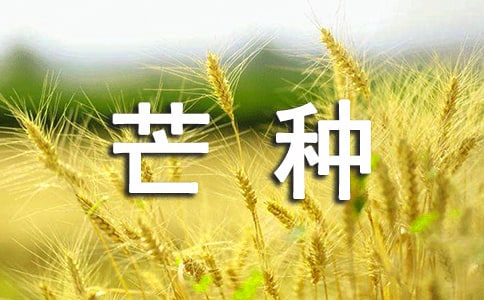 芒种有什么含义
