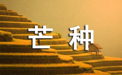 今日芒种:传统节气与现代生活