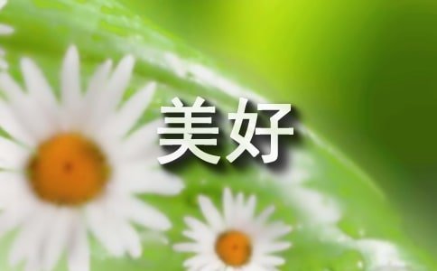 美好工作个人表扬信
