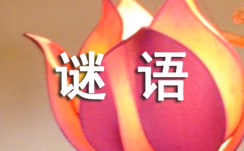 猜谜语的答题技巧