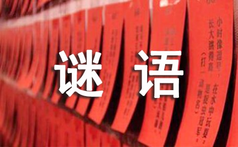儿童猜谜语大全