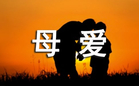 《母爱》阅读理解及答案(通用10篇)
