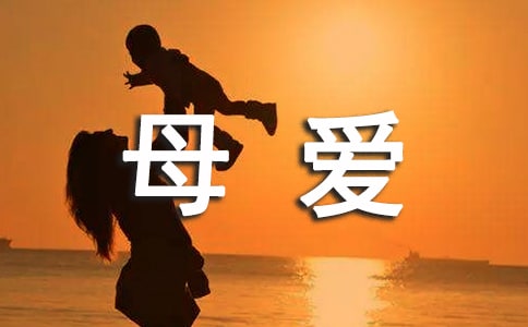 《感悟母爱》读后感