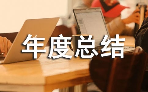 项目部年度总结