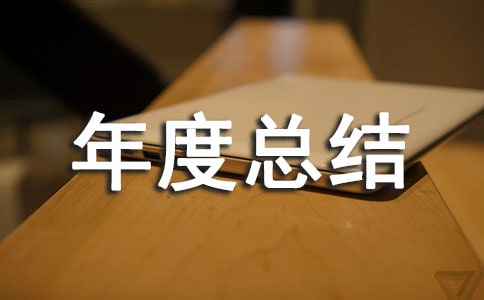 项目年度总结