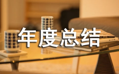 简洁企业年度总结