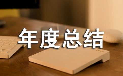 电力工程年度总结