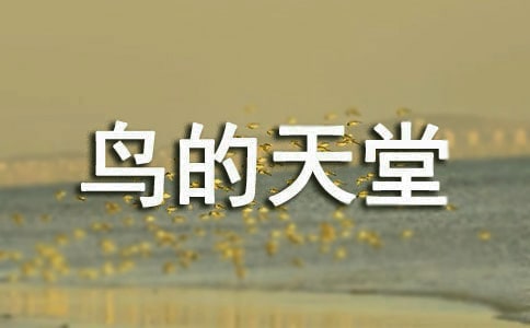 《鸟的天堂》导游词(合集15篇)