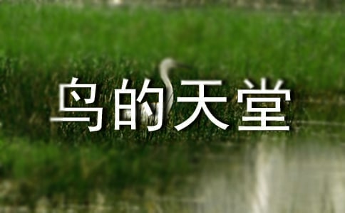 《鸟的天堂》导游词