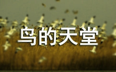 《鸟的天堂》导游词 15篇