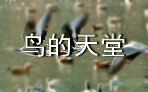 介绍鸟的天堂的导游词12篇