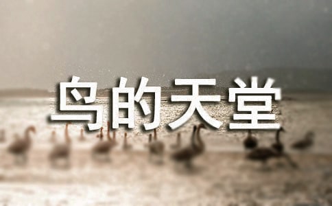 给鸟的天堂写导游词14篇