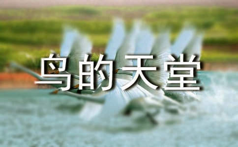 介绍鸟的天堂的导游词集合13篇