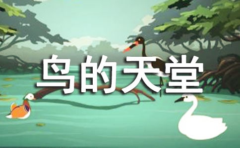 “鸟的天堂”导游词