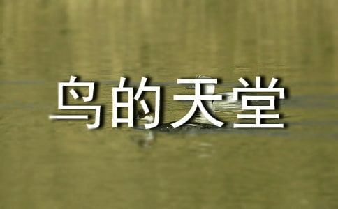 《鸟的天堂》导游词集锦15篇