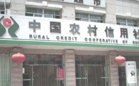 新形势下农村信用社内部审计质量评估的调查报告范文