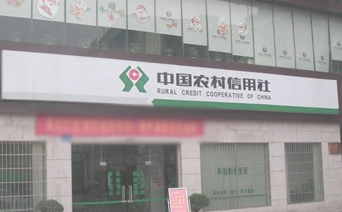大学生寒假农村信用社实习心得体会