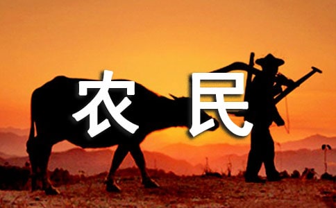 返乡农民工证明集锦8篇