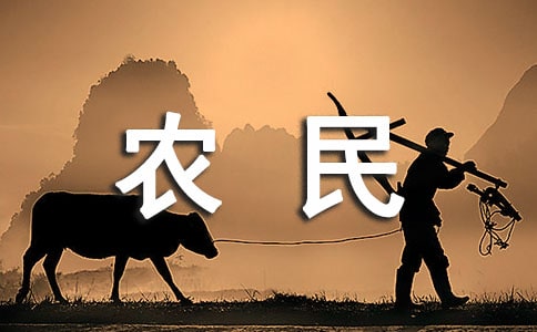农民工劳动合同