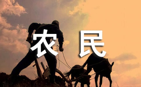 农民工劳动合同(15篇)