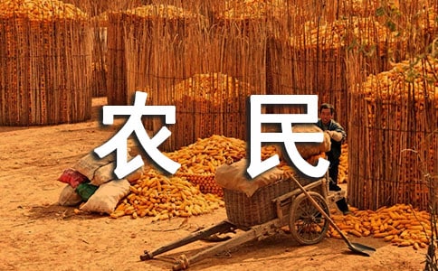 农民工劳动合同范本15篇