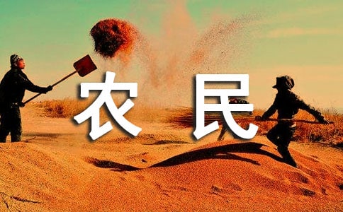 农民怎么赚钱
