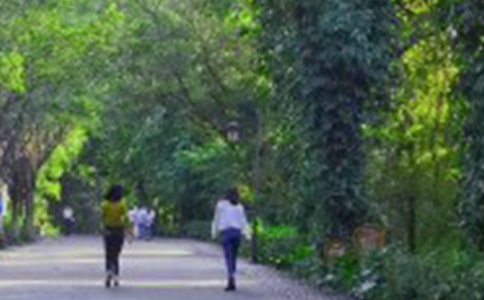 爬山虎的脚教案大全15篇