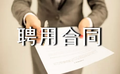 个人聘用合同范本
