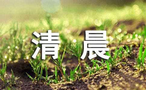 清晨,被鸟儿叫醒 阅读答案