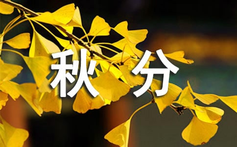 ��д��ֽ����ľ���