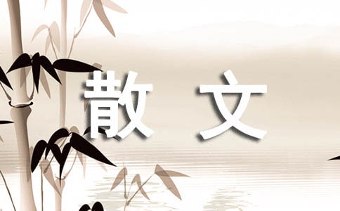 【热门】慢生活散文