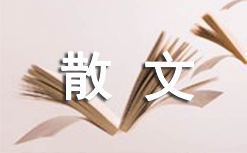 老年人记忆力下降散文