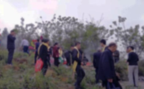 扫墓活动倡议书