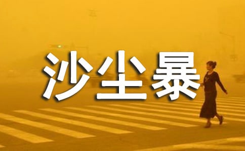 导致了沙尘暴的活跃阅读答案