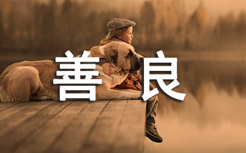 善良的回馈