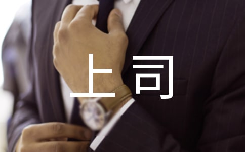 写给上司的道歉信