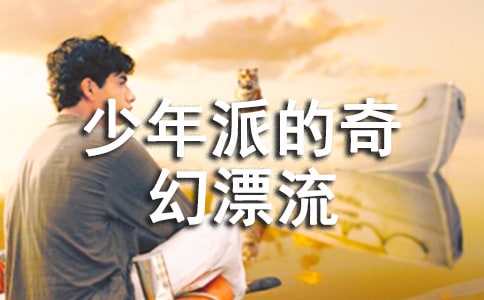 少年派的奇幻漂流观后感12篇