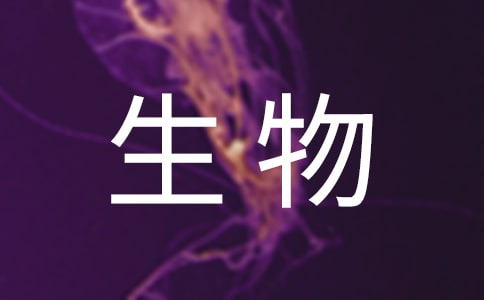 精生物教学计划