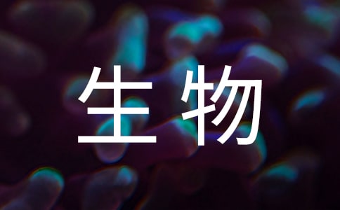 生物听课心得体会13篇