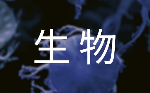 生物兴趣小组活动总结6篇