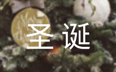 公司圣诞节活动总结