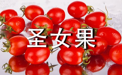 ʥŮ���Ĺ�Ч������