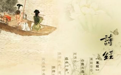 诗经的读书心得