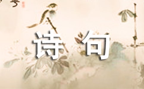 花个性诗句座右铭30句精选