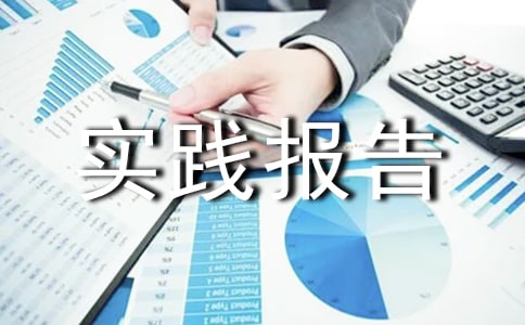 高中生社会实践报告范文